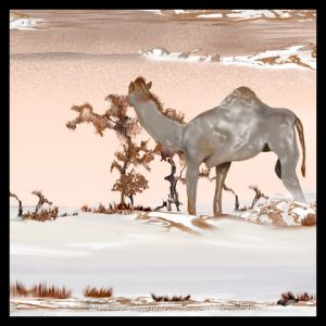 Festimago 2008 Festimago 2008